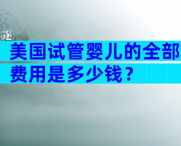 美国试管婴儿的全部费用是多少钱？