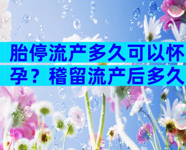 胎停流产多久可以怀孕？稽留流产后多久可以怀孕？