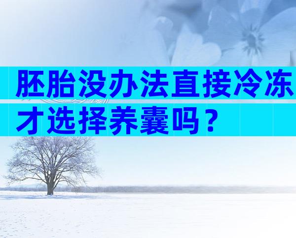 胚胎没办法直接冷冻才选择养囊吗？