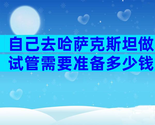 自己去哈萨克斯坦做试管需要准备多少钱才可以？