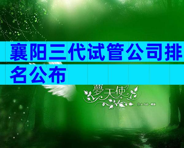 襄阳三代试管公司排名公布