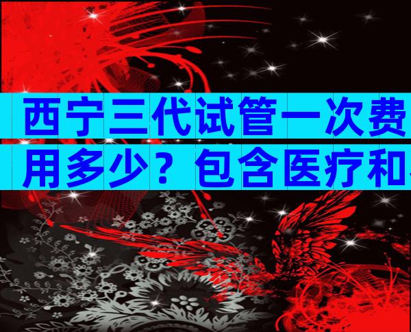 西宁三代试管一次费用多少？包含医疗和衣食住行全方位解读