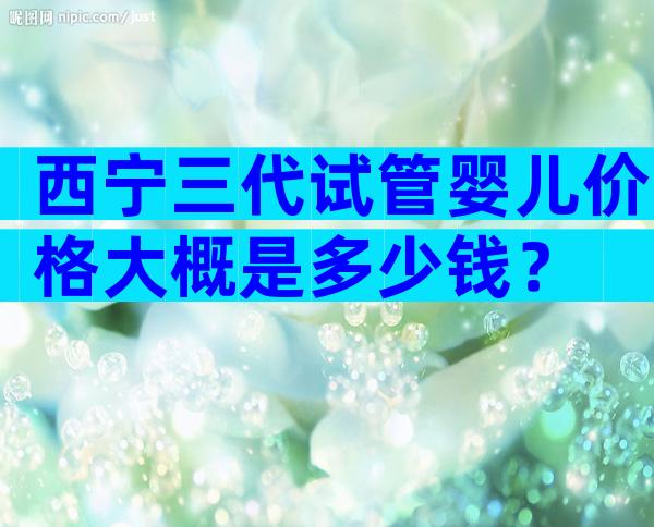 西宁三代试管婴儿价格大概是多少钱？