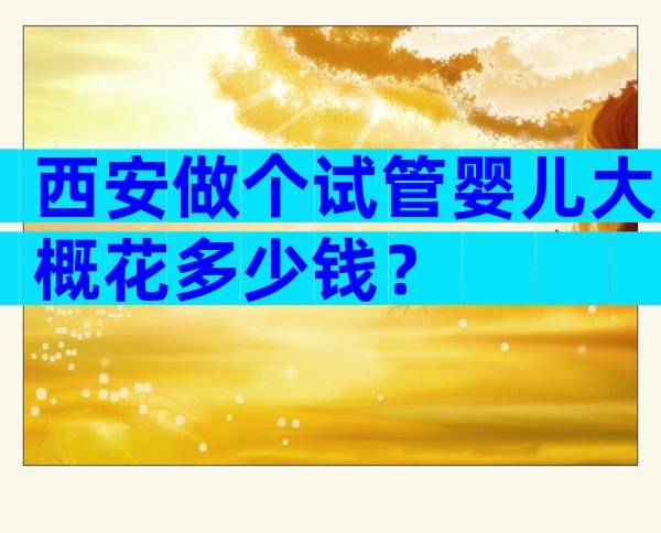 西安做个试管婴儿大概花多少钱？