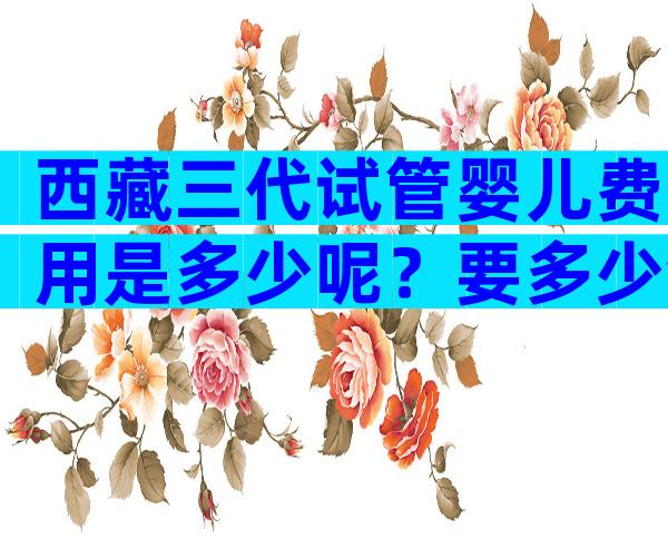 西藏三代试管婴儿费用是多少呢？要多少合适？