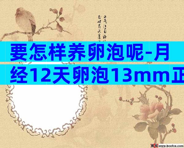 要怎样养卵泡呢-月经12天卵泡13mm正常吗