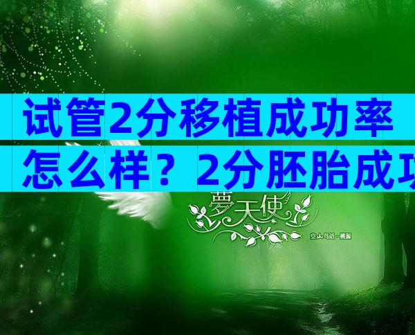 试管2分移植成功率怎么样？2分胚胎成功率怎么样？