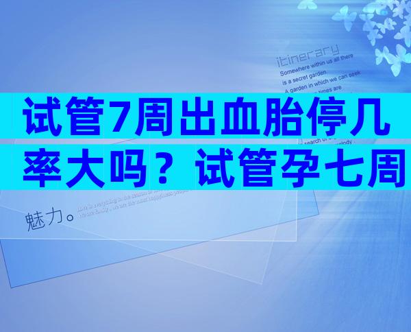 试管7周出血胎停几率大吗？试管孕七周出血