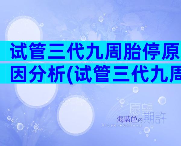 试管三代九周胎停原因分析(试管三代九周胎停原因分析)