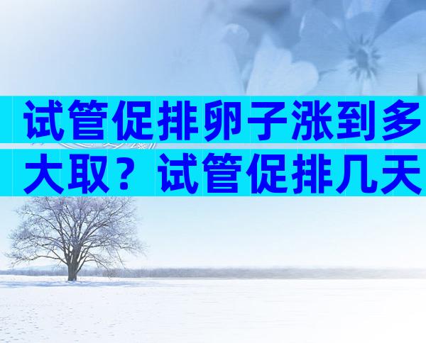 试管促排卵子涨到多大取？试管促排几天卵泡成熟？