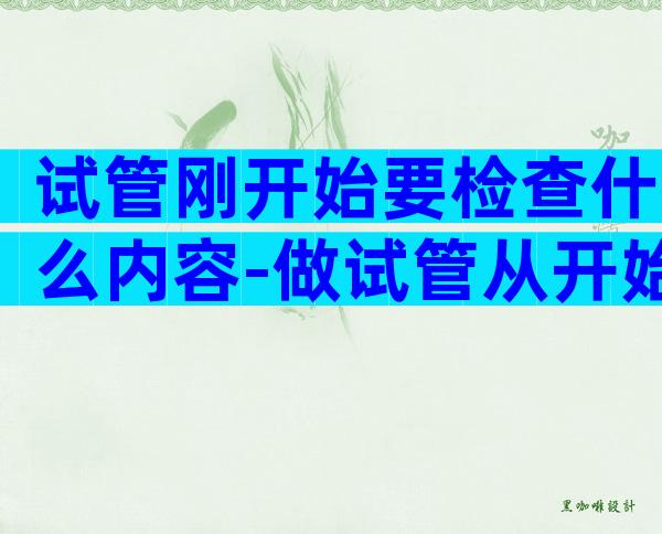 试管刚开始要检查什么内容-做试管从开始检查到怀孕大约多少时间