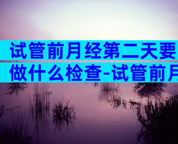 试管前月经第二天要做什么检查-试管前月经第二天要做什么检查项目