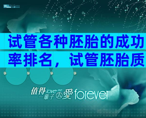 试管各种胚胎的成功率排名，试管胚胎质量比较好的是什么级别？