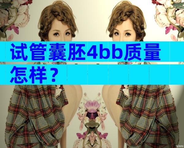 试管囊胚4bb质量怎样？