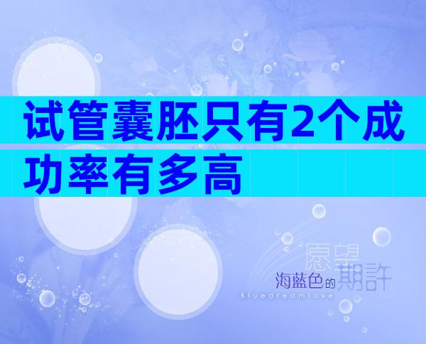 试管囊胚只有2个成功率有多高