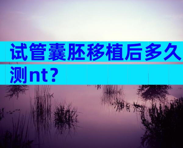 试管囊胚移植后多久测nt？