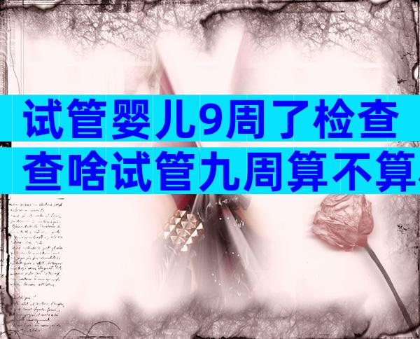 试管婴儿9周了检查查啥试管九周算不算稳定