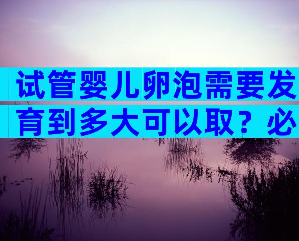 试管婴儿卵泡需要发育到多大可以取？必须长到18mm吗？