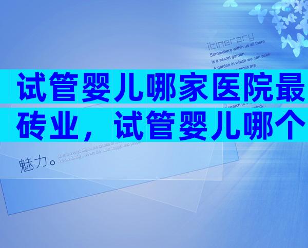 试管婴儿哪家医院最砖业，试管婴儿哪个医院做得好