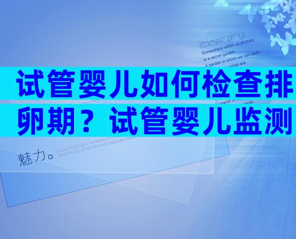 试管婴儿如何检查排卵期？试管婴儿监测排卵