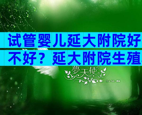 试管婴儿延大附院好不好？延大附院生殖科哪个医生看的好？