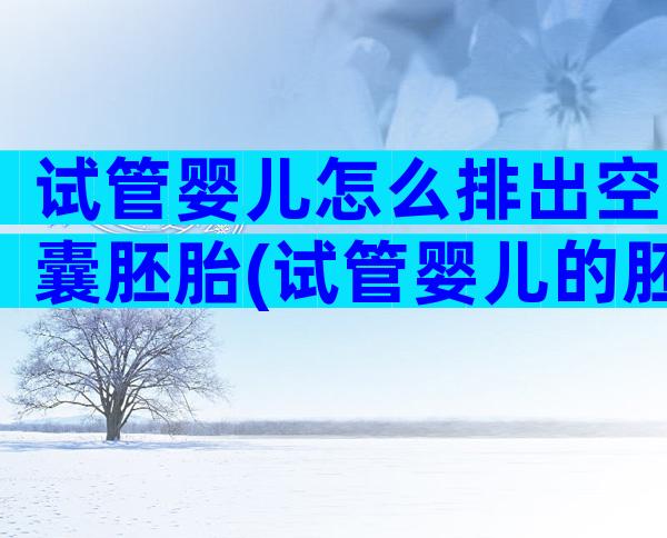 试管婴儿怎么排出空囊胚胎(试管婴儿的胚胎是用什么方法放入子宫)