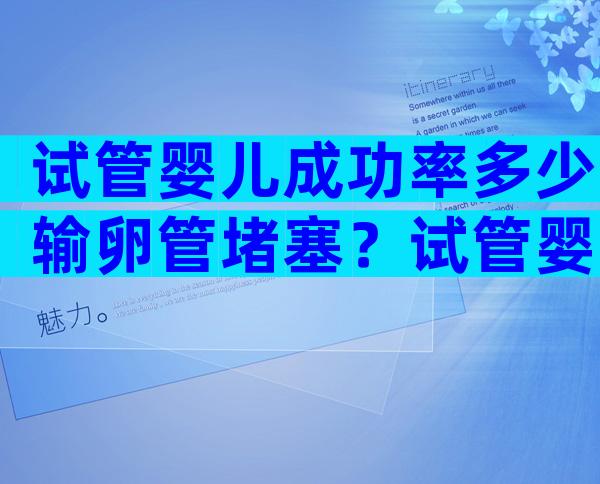 试管婴儿成功率多少输卵管堵塞？试管婴儿成功率多少输卵管堵塞最严重？