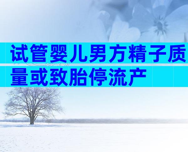 试管婴儿男方精子质量或致胎停流产