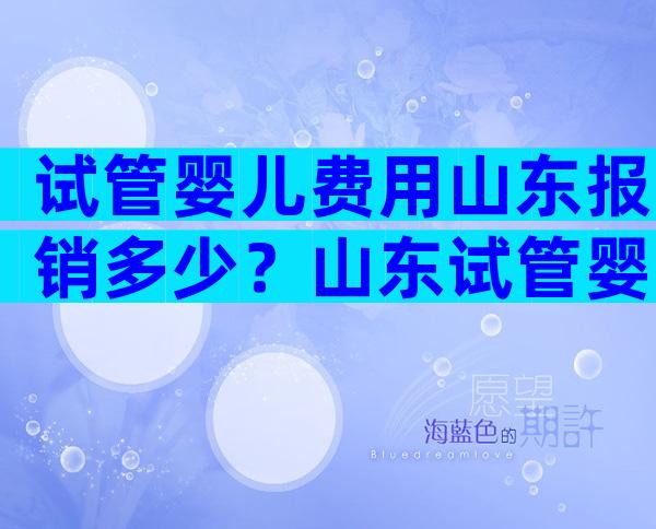 试管婴儿费用山东报销多少？山东试管婴儿补助政策