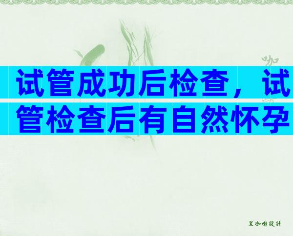 试管成功后检查，试管检查后有自然怀孕吗