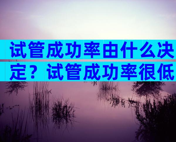 试管成功率由什么决定？试管成功率很低吗？