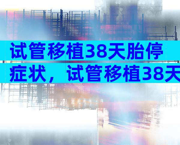 试管移植38天胎停症状，试管移植38天会有啥症状