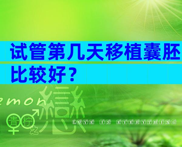 试管第几天移植囊胚比较好？