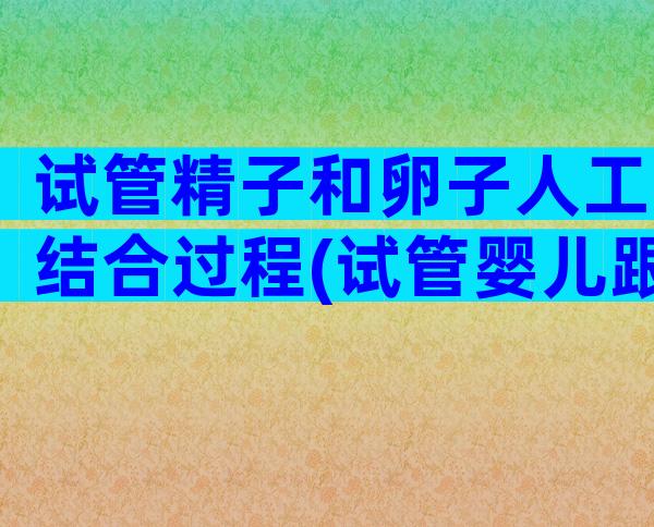 试管精子和卵子人工结合过程(试管婴儿跟人工受精)