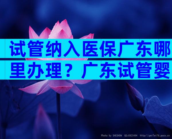 试管纳入医保广东哪里办理？广东试管婴儿多少钱一次？