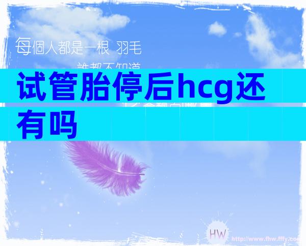 试管胎停后hcg还有吗