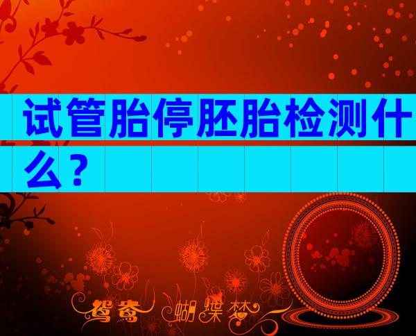 试管胎停胚胎检测什么？