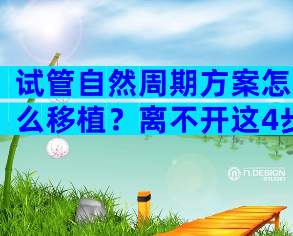 试管自然周期方案怎么移植？离不开这4步操作流程