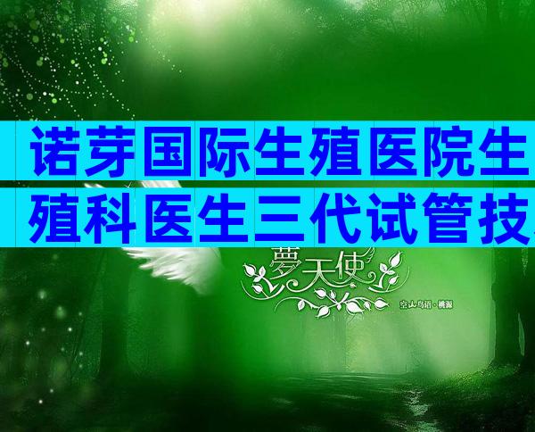 诺芽国际生殖医院生殖科医生三代试管技术好吗？