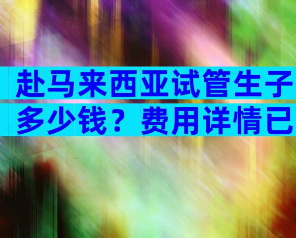 赴马来西亚试管生子多少钱？费用详情已整理好了