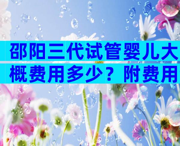 邵阳三代试管婴儿大概费用多少？附费用清单及等待时间