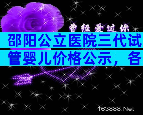 邵阳公立医院三代试管婴儿价格公示，各项费用清晰明了