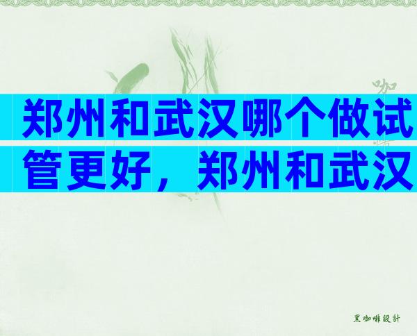 郑州和武汉哪个做试管更好，郑州和武汉哪个做试管更好些