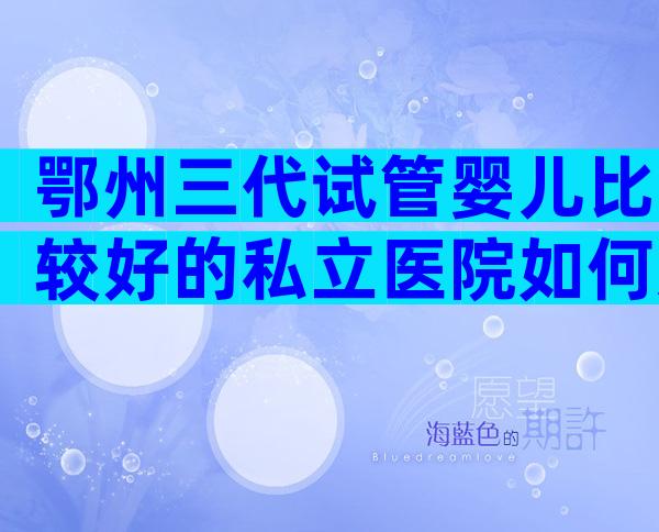 鄂州三代试管婴儿比较好的私立医院如何选择，哪家好看完明白