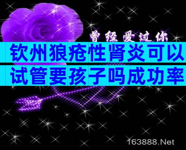 钦州狼疮性肾炎可以试管要孩子吗成功率高不高