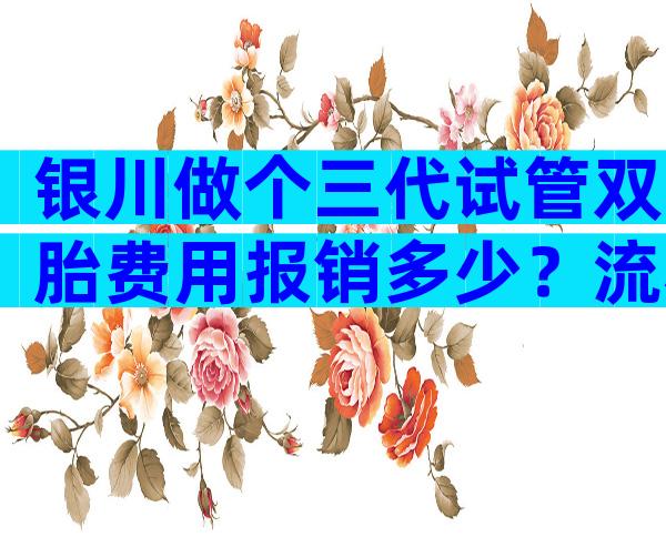 银川做个三代试管双胎费用报销多少？流程、费用这里都有！