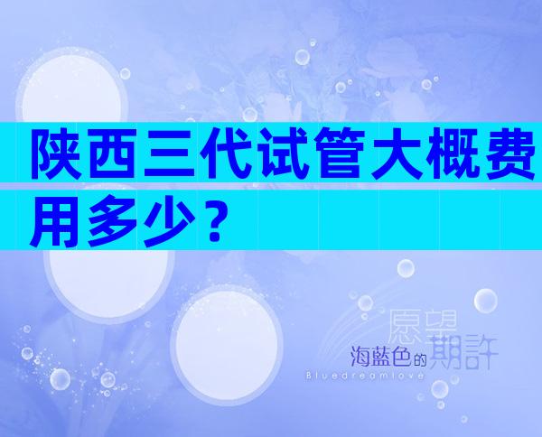 陕西三代试管大概费用多少？