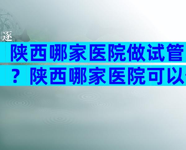 陕西哪家医院做试管？陕西哪家医院可以做试管婴儿？