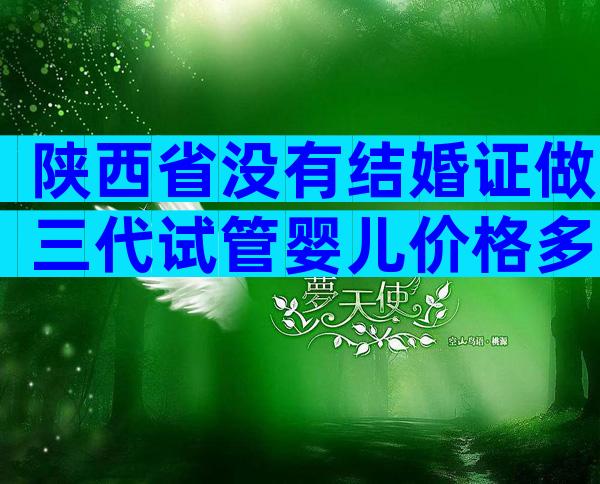 陕西省没有结婚证做三代试管婴儿价格多少钱？试管婴儿三代费用是多少