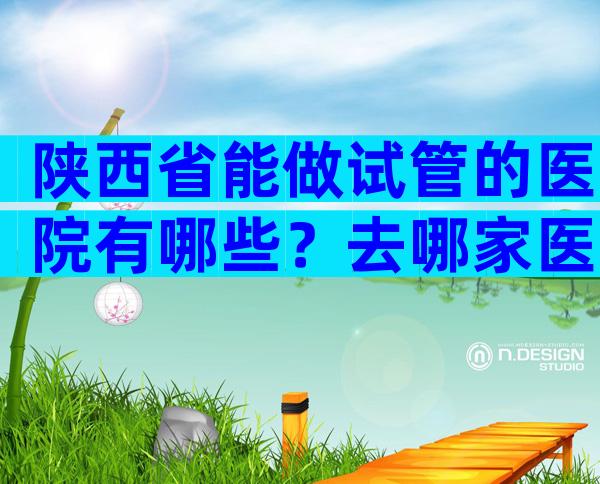 陕西省能做试管的医院有哪些？去哪家医院可以不排队